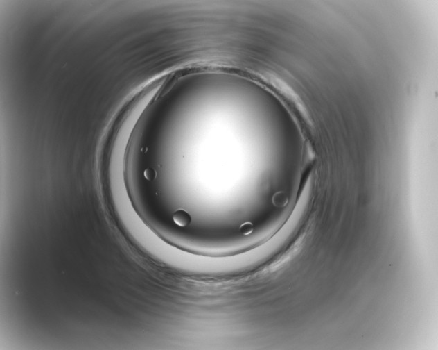 X0000088750981200706212111