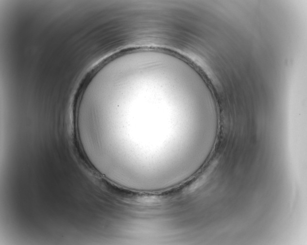 X0000088750982200706212111