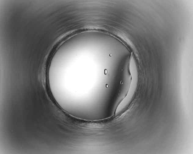 X0000088750984200706212111