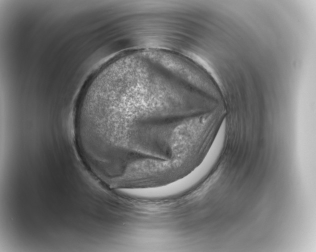 X0000088750987200706212111