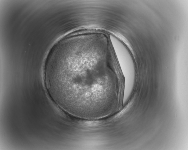 X0000088750989200706212111