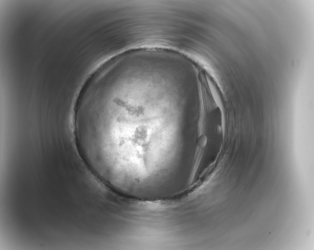 X0000088750990200706212111