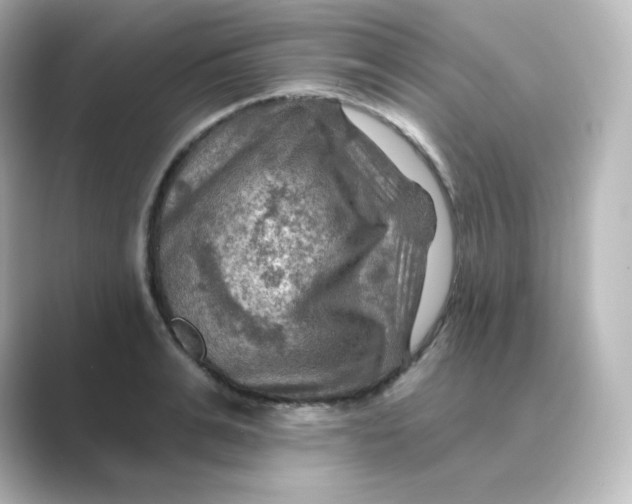 X0000088750991200706212111