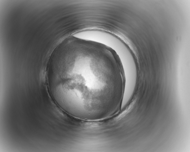 X0000088750993200706212111