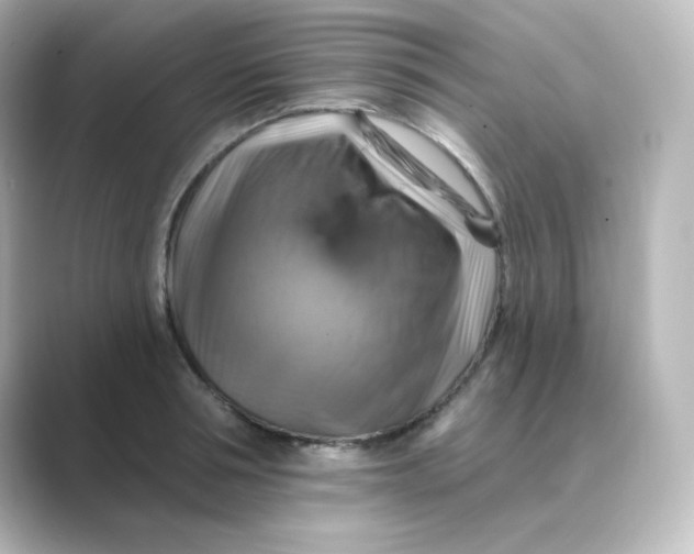 X0000088750994200706212111