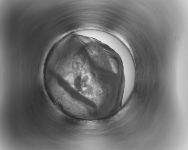 X0000088750995200706212111