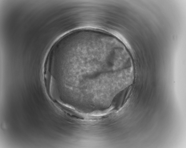 X0000088750996200706212111