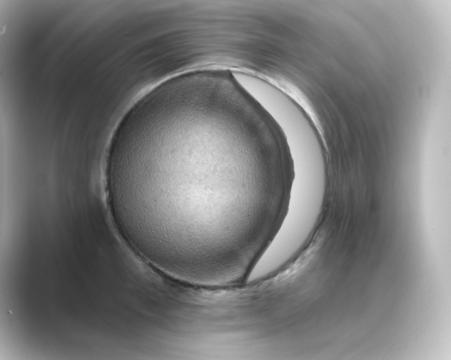 X0000088750997200706212111