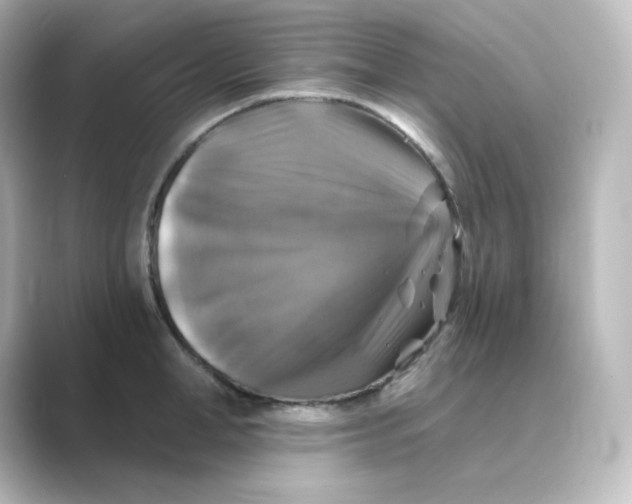 X0000088750998200706212111