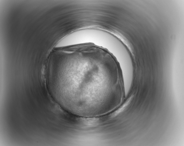 X0000088751001200706212111