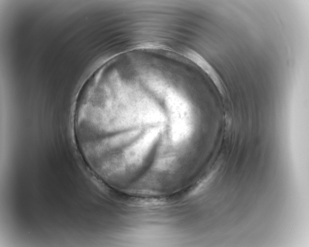 X0000088751002200706212111