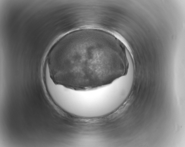 X0000088751005200706212111