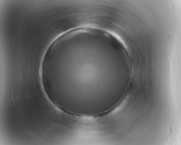 X0000088751007200706212111