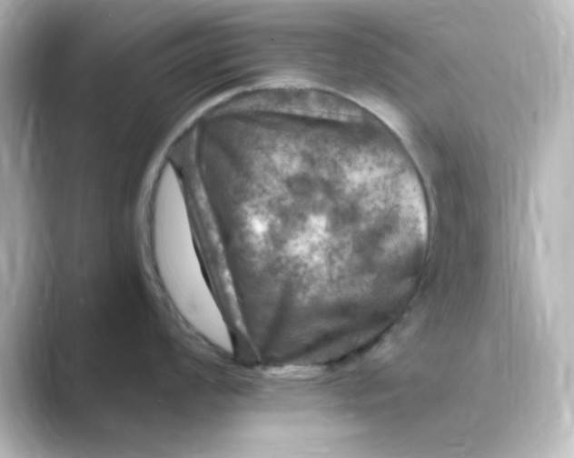 X0000088751008200706212111