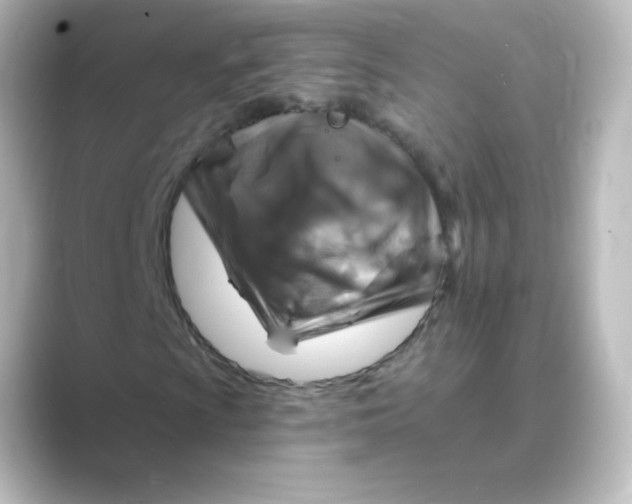 X0000088751009200706212111