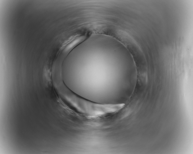 X0000088751010200706212111