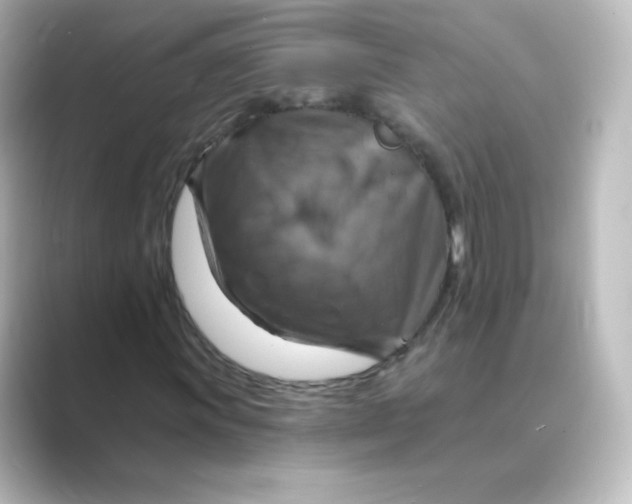 X0000088751011200706212111