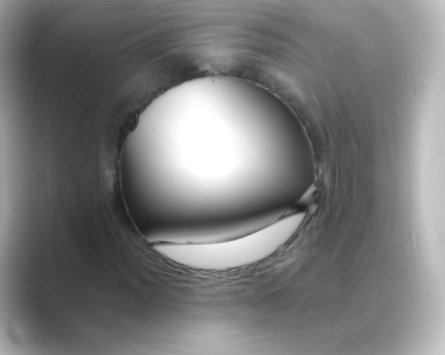 X0000088751012200706212111