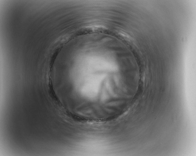 X0000088751014200706212111