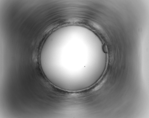 X0000088751017200706212111