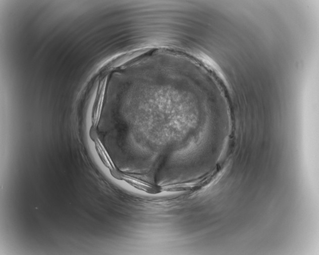 X0000088751019200706212111