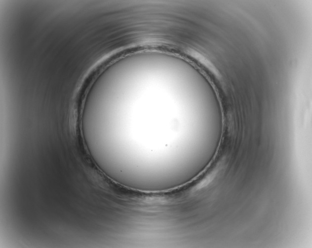 X0000088751021200706212111