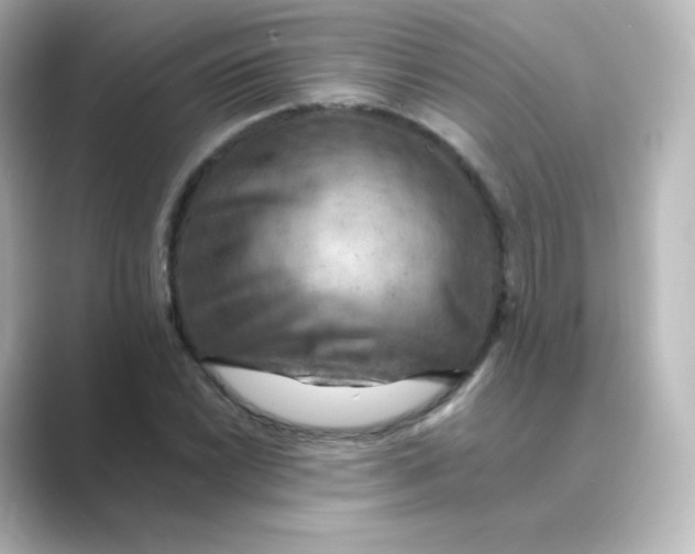 X0000088751022200706212111