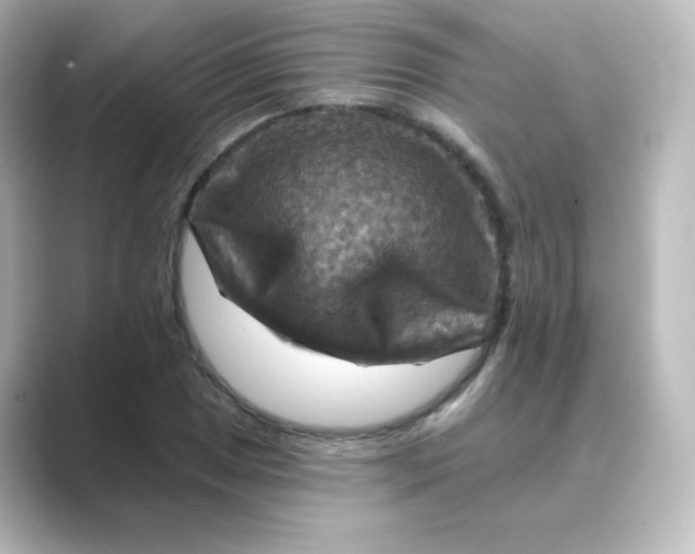 X0000088751025200706212111