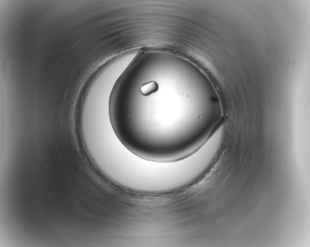 X0000088751026200706212111