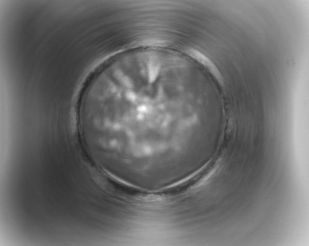 X0000088751027200706212111