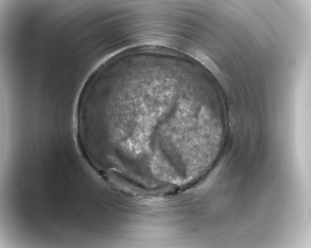 X0000088751028200706212111