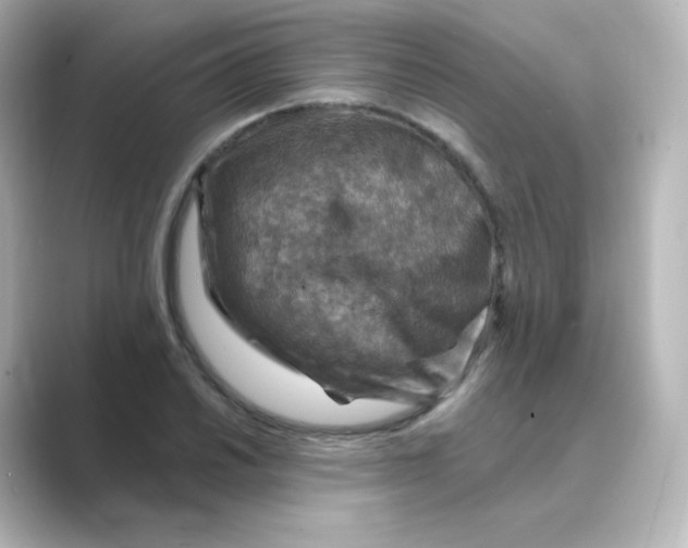 X0000088751030200706212111