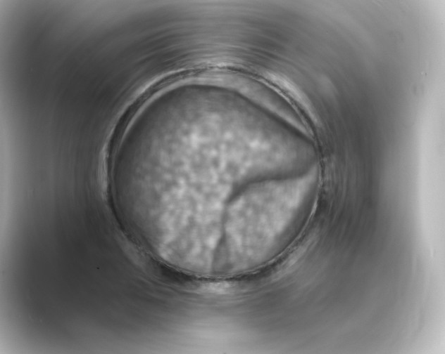 X0000088751031200706212111