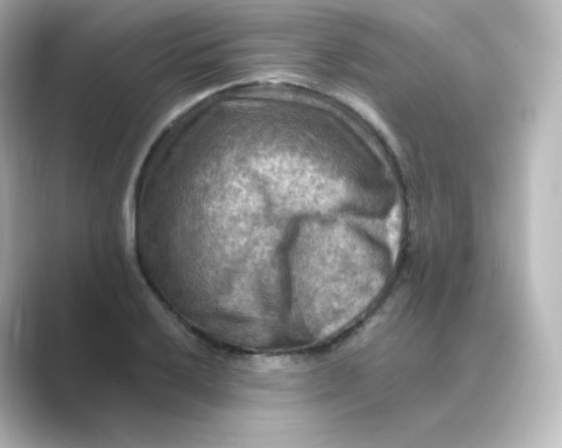 X0000088751032200706212111