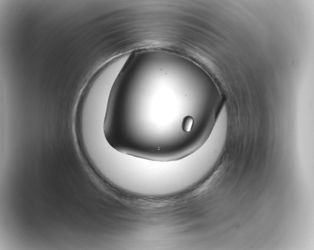 X0000088751034200706212111