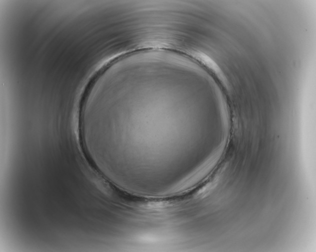 X0000088751035200706212111