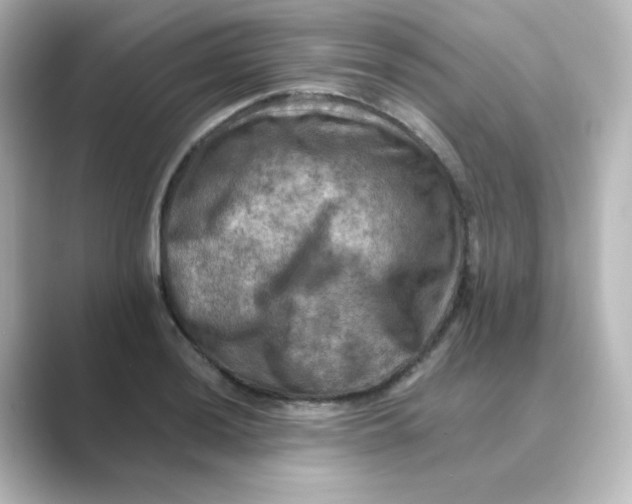 X0000088751036200706212111