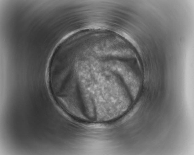 X0000088751037200706212111