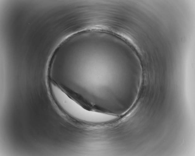 X0000088751038200706212111