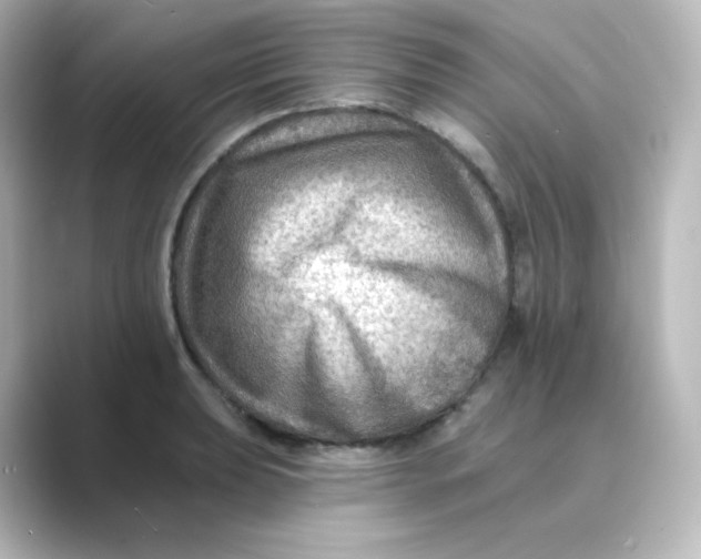 X0000088751039200706212111