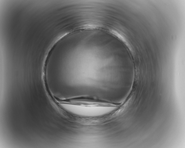 X0000088751042200706212111