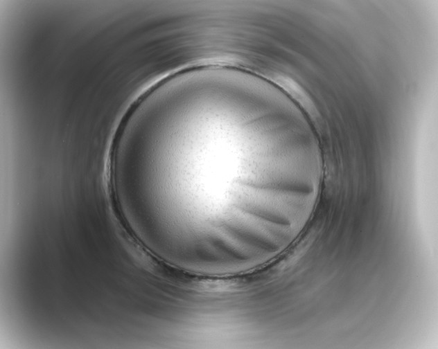 X0000088751044200706212111