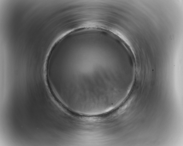 X0000088751045200706212111