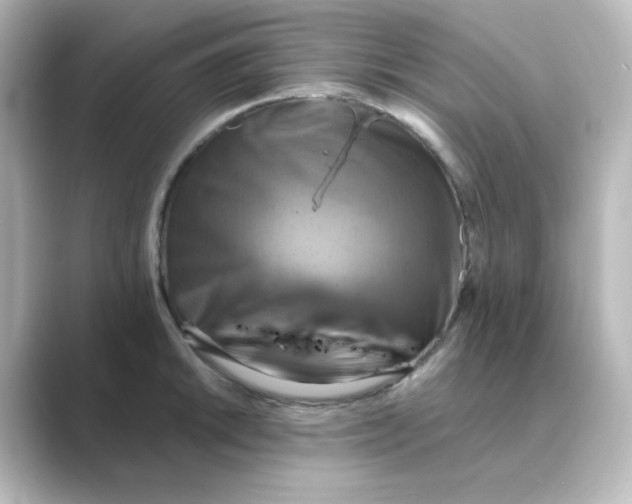 X0000088751046200706212111