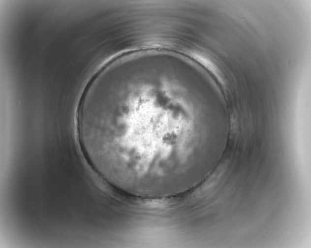 X0000088751047200706212111