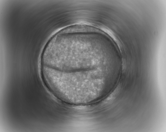 X0000088751048200706212111