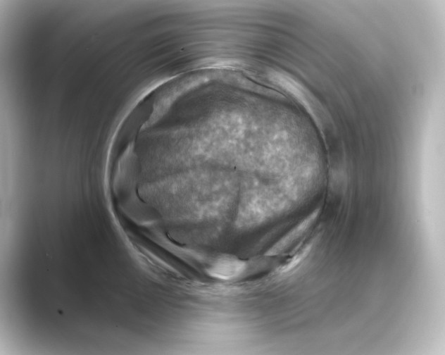 X0000088751050200706212111