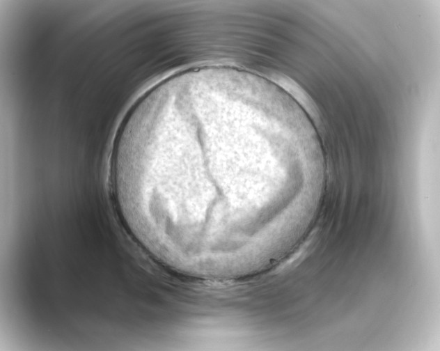 X0000088751052200706212111