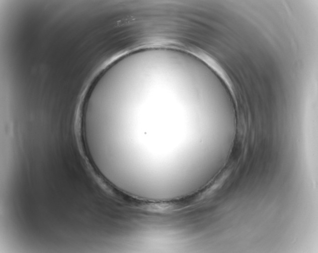 X0000088751053200706212111