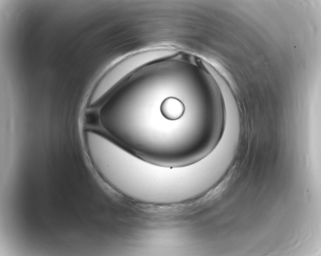 X0000088751054200706212111